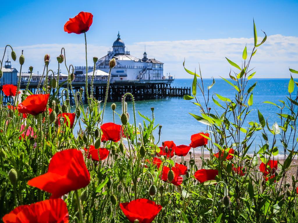 Willa Wendy House Eastbourne Zewnętrze zdjęcie